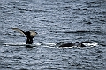 395_Best_of_by_Ponant