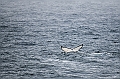 400_Best_of_by_Ponant