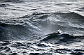 425_Best_of_by_Ponant