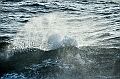 426_Best_of_by_Ponant