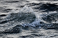 428_Best_of_by_Ponant