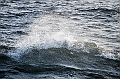 429_Best_of_by_Ponant