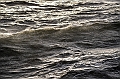 431_Best_of_by_Ponant