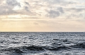 432_Best_of_by_Ponant
