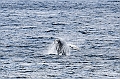 500_Best_of_by_Ponant