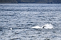 501_Best_of_by_Ponant