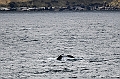 507_Best_of_by_Ponant