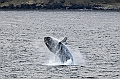 508_Best_of_by_Ponant