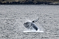 509_Best_of_by_Ponant