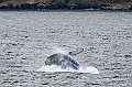 510_Best_of_by_Ponant