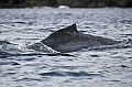 550_Best_of_by_Ponant