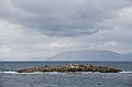 551_Best_of_by_Ponant