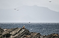 558_Best_of_by_Ponant