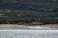 569_Best_of_by_Ponant