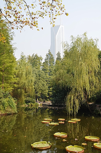 298_China_Shanghai.JPG