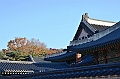 042_South_Korea_Seoul_Changdeokgung