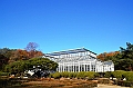 058_South_Korea_Seoul_Changgyeonggung