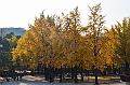 162_South_Korea_Seoul_Deoksugung