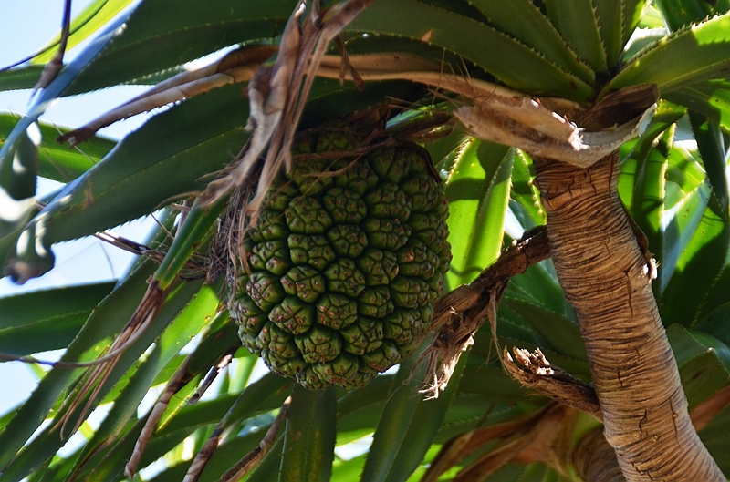 176_Taiwan_Kenting_National_Park.JPG