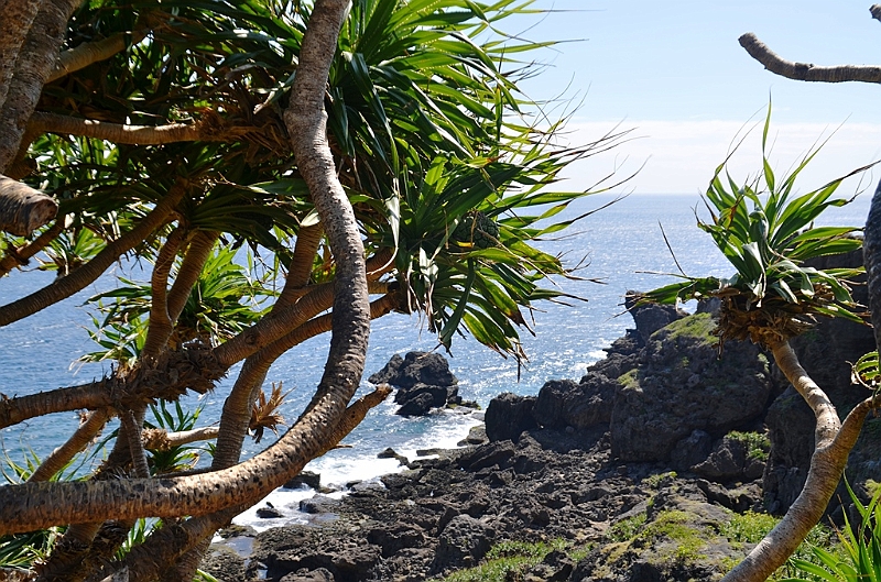 177_Taiwan_Kenting_National_Park.JPG