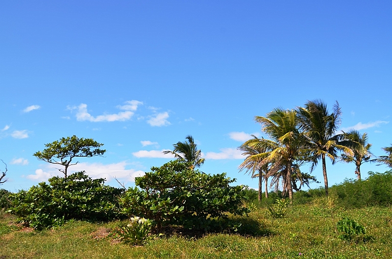 192_Taiwan_Kenting_National_Park.JPG