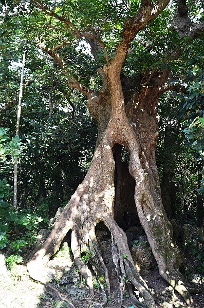 193_Taiwan_Kenting_National_Park.JPG