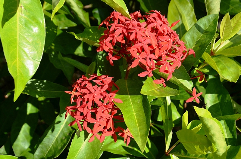 194_Taiwan_Kenting_National_Park.JPG