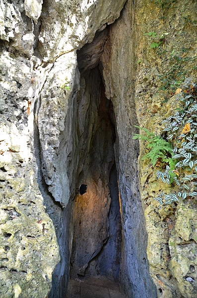 197_Taiwan_Kenting_National_Park.JPG