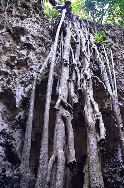 199_Taiwan_Kenting_National_Park.JPG