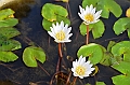 060_Taiwan_Sun_Moon_Lake