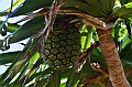 176_Taiwan_Kenting_National_Park
