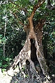 193_Taiwan_Kenting_National_Park