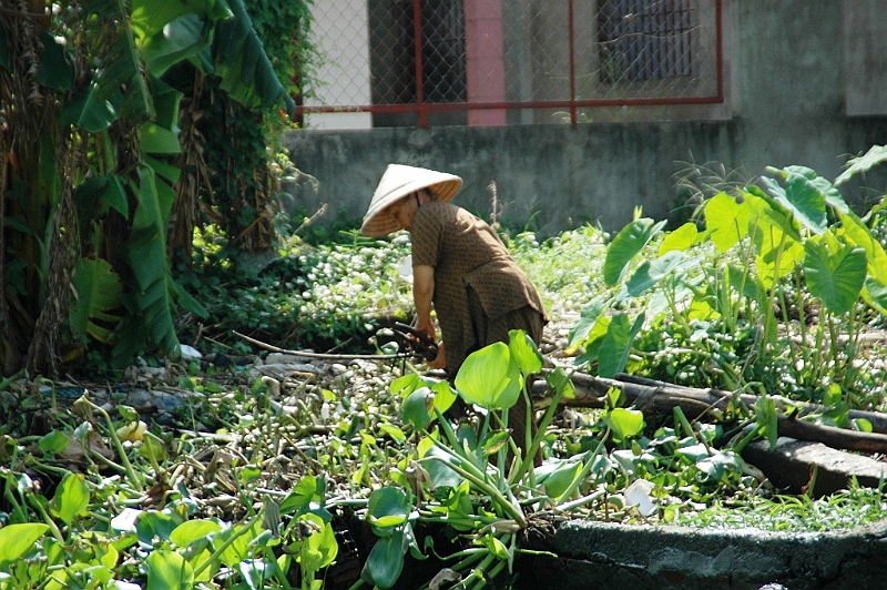 044_Vietnam_Mekong_River_Tour.JPG