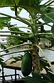 047_Vietnam_Mekong_River_Tour