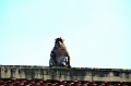 150_Cambodia_Phnom_Penh