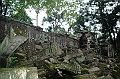 184_Cambodia_Angkor_Ta_Prohm