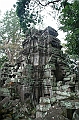 185_Cambodia_Angkor_Ta_Prohm