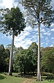311_Cambodia_Angkor_Thom_Aera