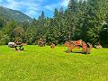 026_Austria_Kramsau_Mariatal_Skulpturenpark