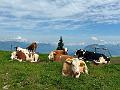 092_Austria_Wildschoenau