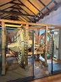 030_Austria_Hall_in_Tirol_Burg_Hasegg_Muenze