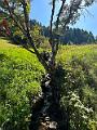 049_Austria_Paznaun