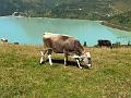 066_Austria_Paznaun