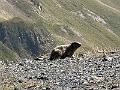 155_Austria_Paznaun
