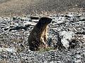 156_Austria_Paznaun