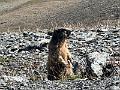 157_Austria_Paznaun