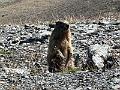 158_Austria_Paznaun