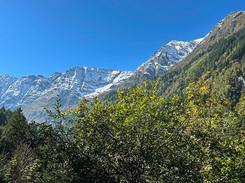 028_Austria_Pinzgau.JPG