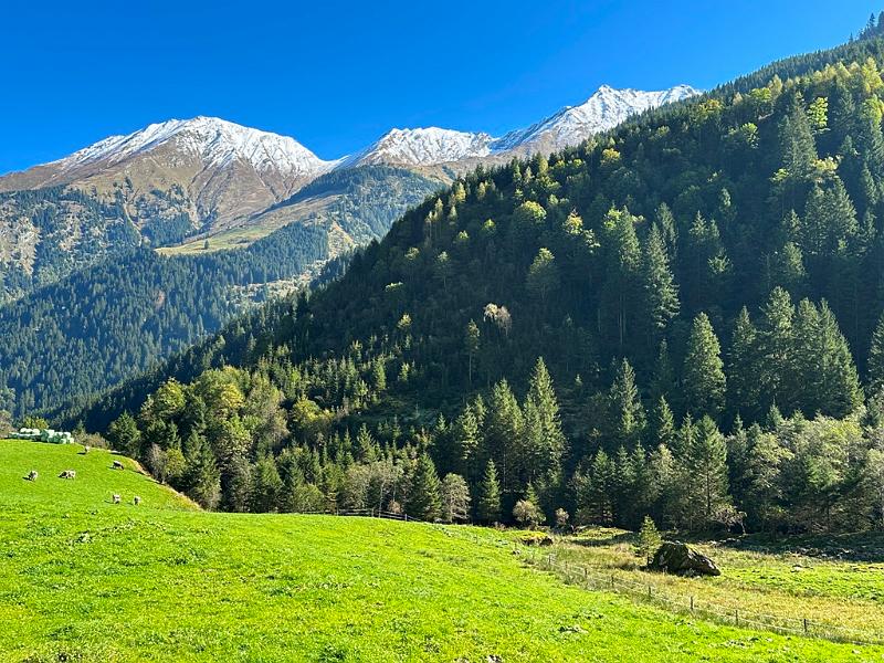 030_Austria_Pinzgau.JPG