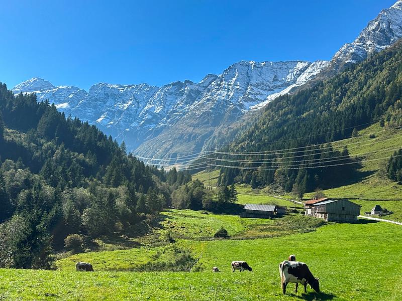 031_Austria_Pinzgau.JPG